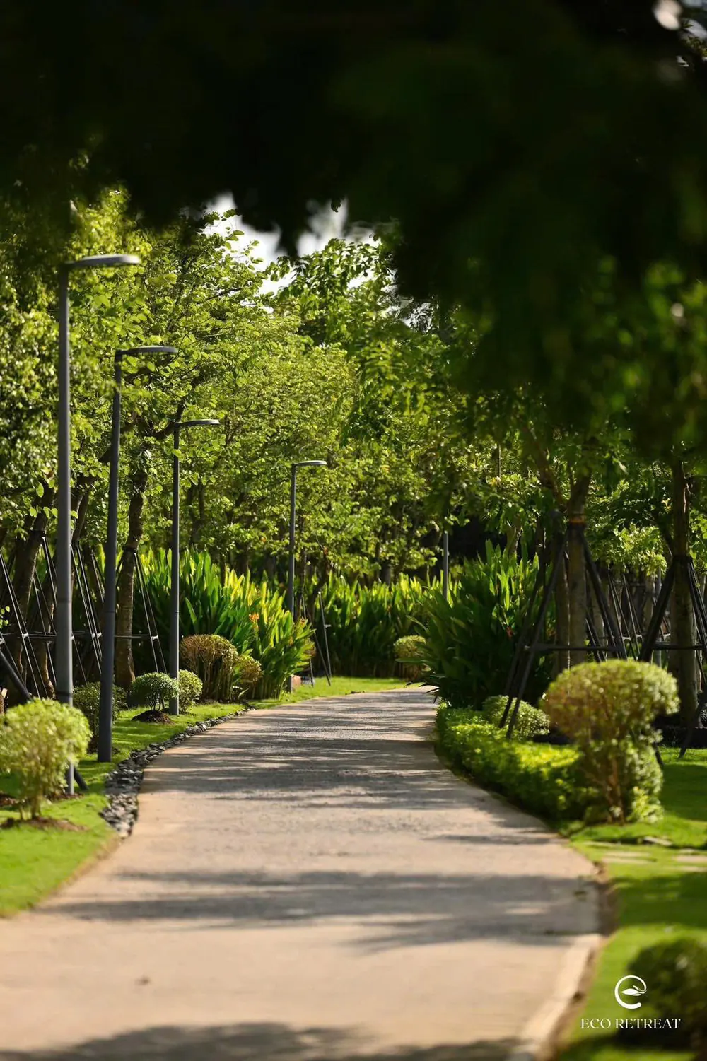 Đường dạo bộ dưới tán cây tại Eco Retreat Ecopark Long An