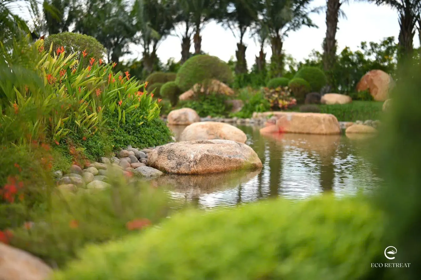 Hồ đá và mảng trồng cảnh quan tại Eco Retreat