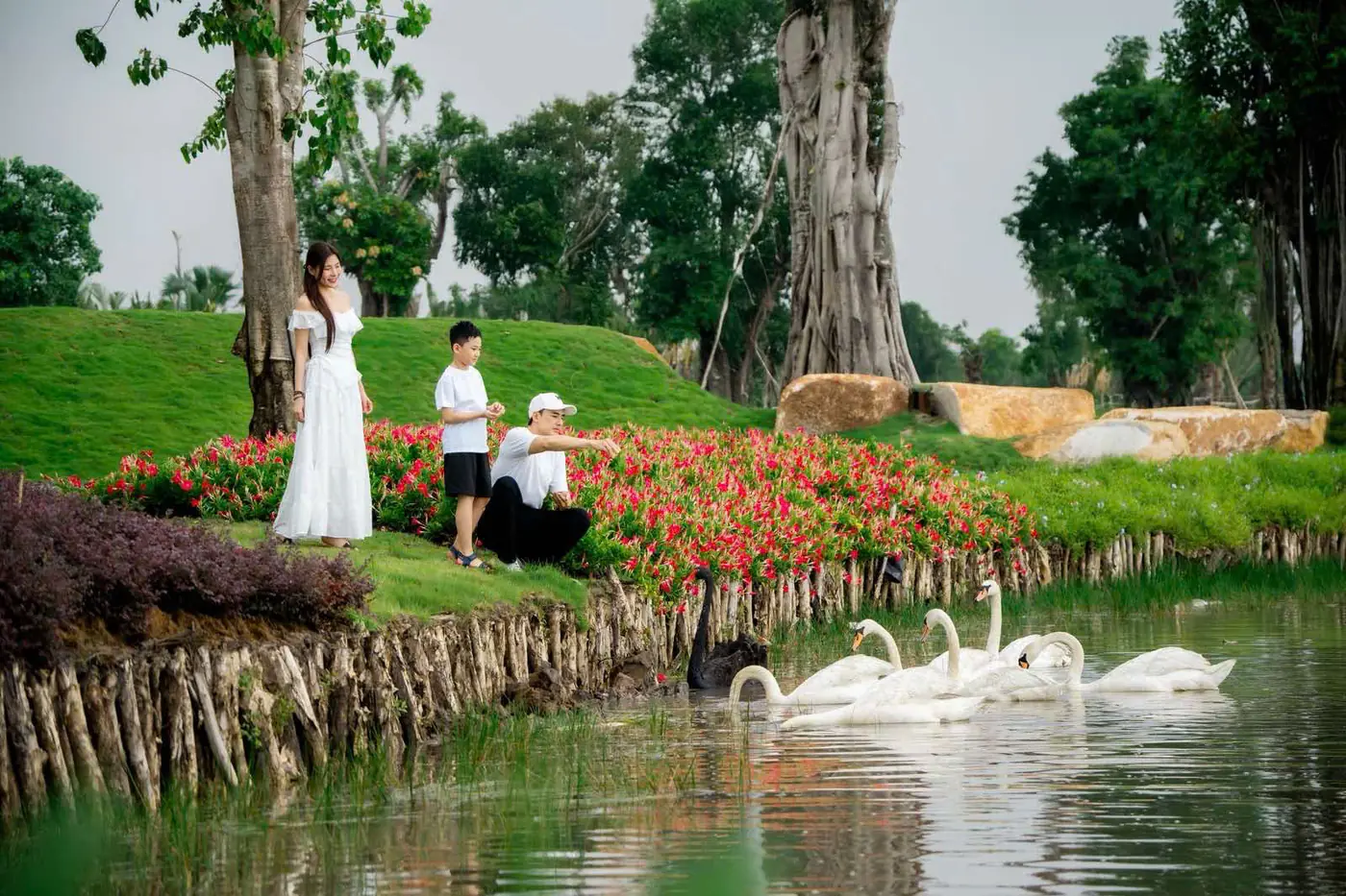 Gia đình cho thiên nga ăn bên Hồ Thiên Nga tại Eco Retreat Long An